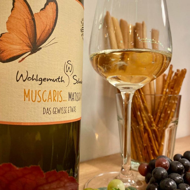 Bild zu Weinprobe meets Tanzparty